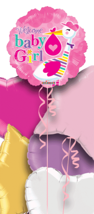 Baby Girl Stork Balloon