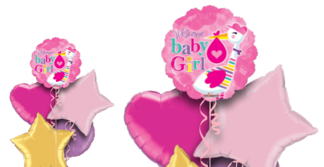 Baby Girl Stork Balloon