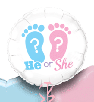 New Baby Shower He or She Balloon
