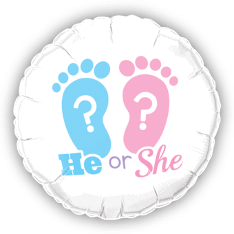 New Baby Shower He or She