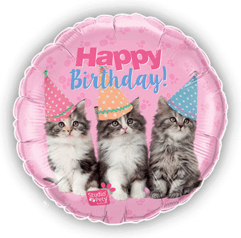 Birthday Kittens