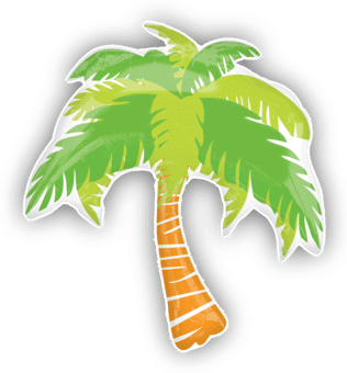 Summer Scene Palm Tree