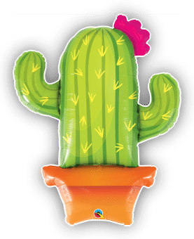 Potted Cactus