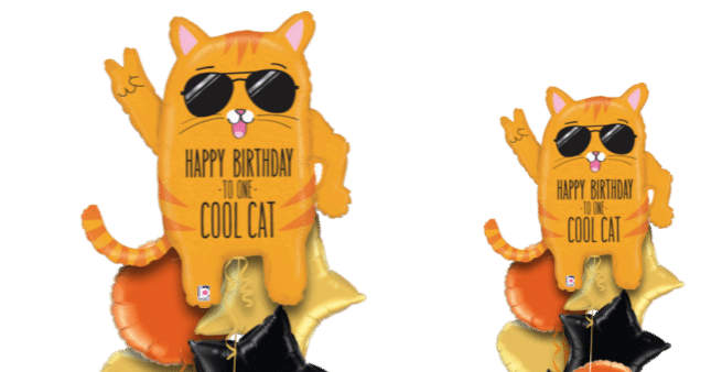 Happy Birthday Cool Cat Balloon