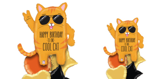 Happy Birthday Cool Cat Balloon