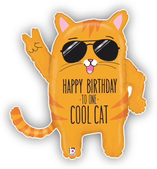 Happy Birthday Cool Cat