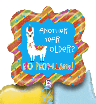 Year Older No Prob Llama Balloon