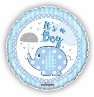 Its a Boy Elephant