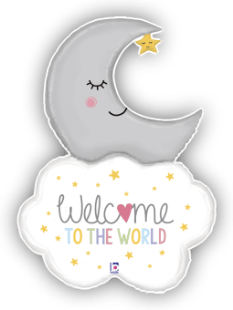Welcome Baby Moon