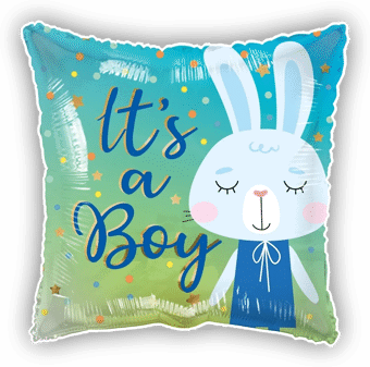 Boy Baby Bunny