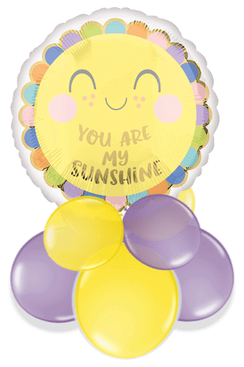 You Are My Sunshine Air Filled Display