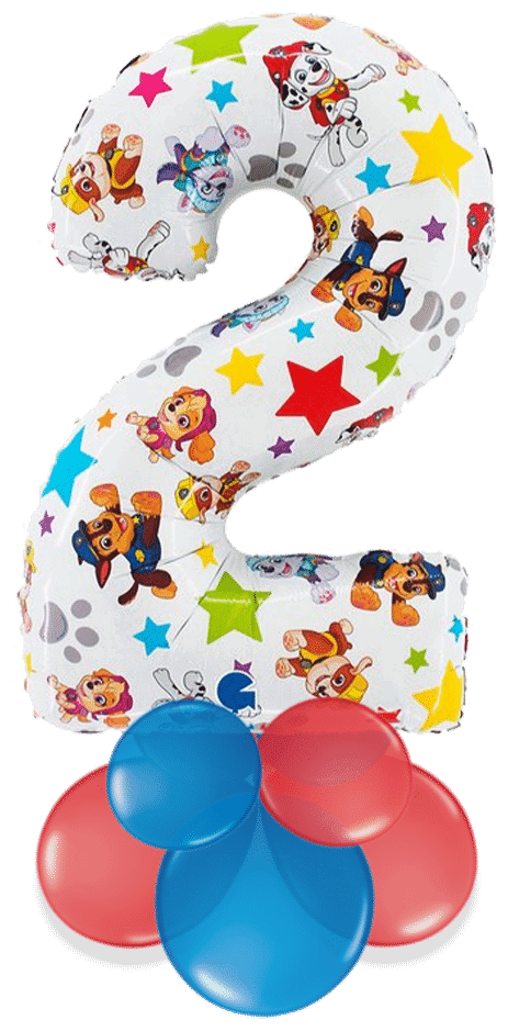 Paw Patrol Large 2 Air Filled Display