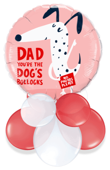 Dad You're the Dogs Air Filled Display