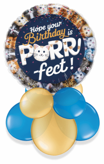 Purrrr-fect Birthday Air Filled Display