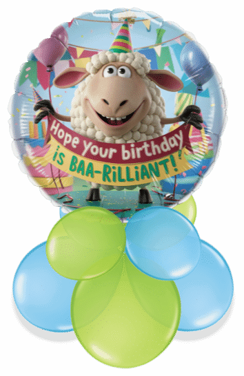 BAA-rilliant Birthday Air Filled Display