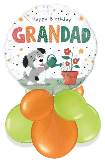 Birthday Grandad Puppy Air Filled Display