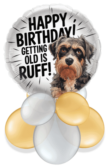 Getting Old is Ruff Birthday Air Filled Display