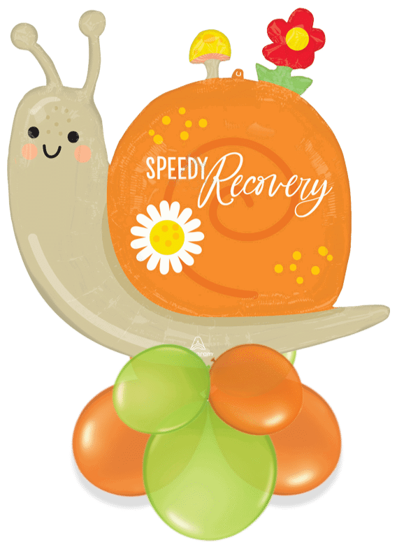 Speedy Recovery Snail Air Filled Display