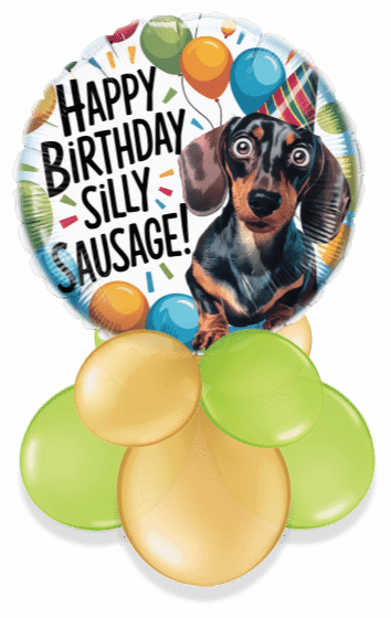 Birthday Silly Sausage Air Filled Display