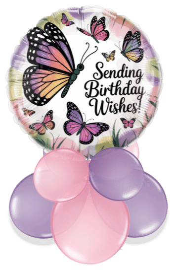 Birthday Butterfly Wishes Air Filled Display