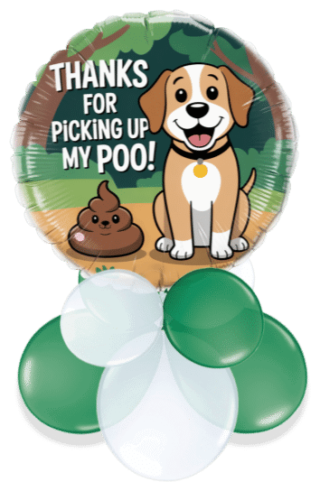 Poo Dad Air Filled Display