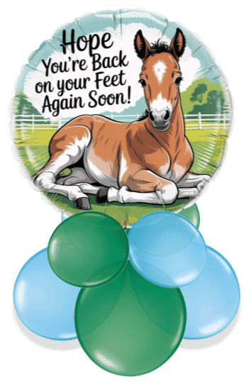Foal Get Well Air Filled Display