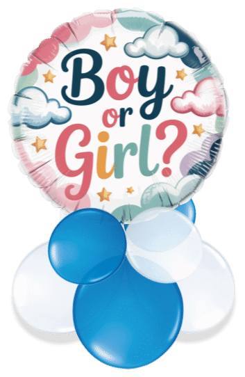 Boy or Girl? Air Filled Display