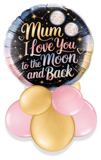 To the Moon and Back Mum Air Filled Display