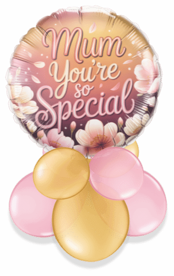 Mum You're So Special Air Filled Display