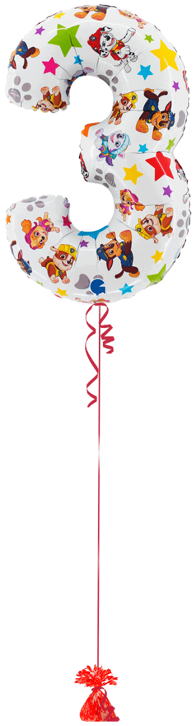 Paw Patrol Large 3 Balloon Bunch