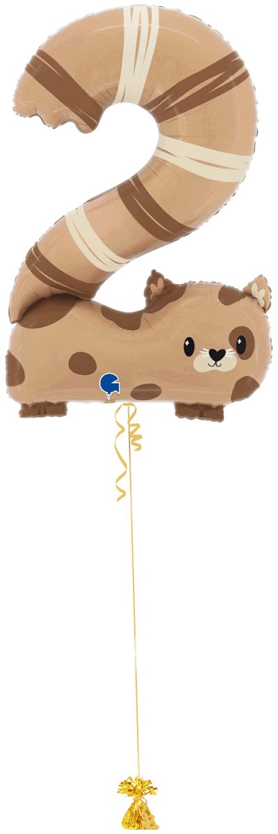 Number 2 Cat Balloon Bunch