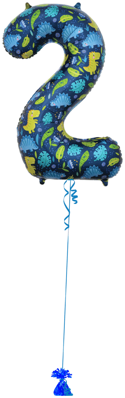 Dinosaurs No 2 Balloon Bunch