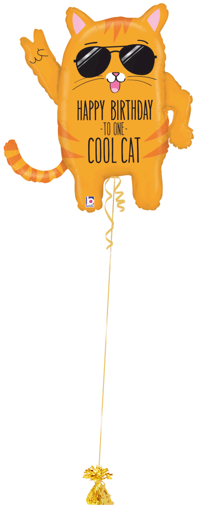 Happy Birthday Cool Cat Balloon Bunch