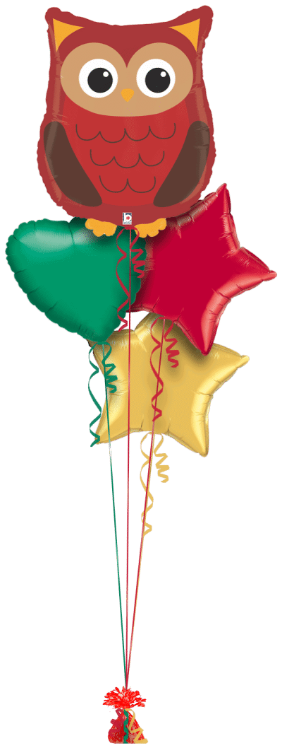 Woodland Creature Owl Balloon Bunch