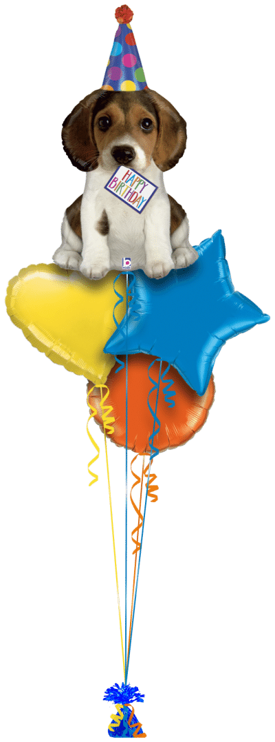 Birthday Pup Balloon Bunch