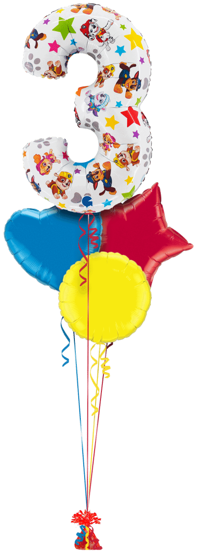 Paw Patrol Large 3 Balloon Bunch