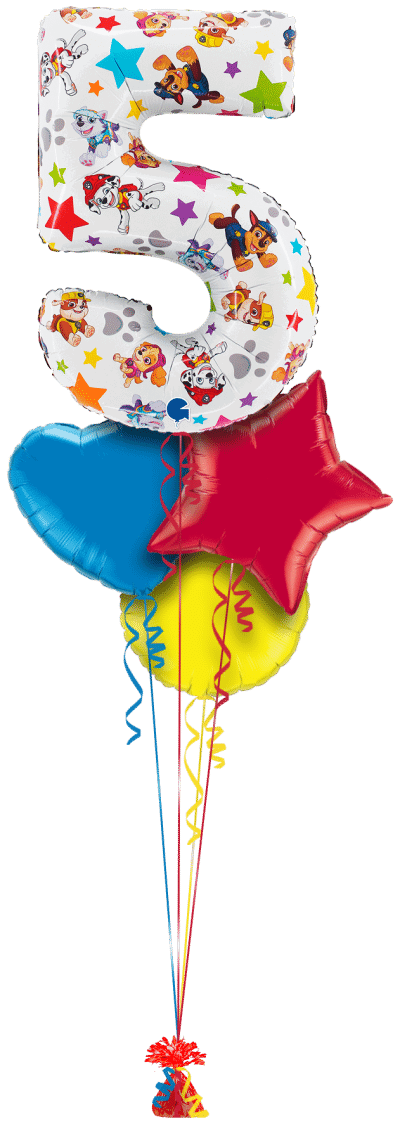 Paw Patrol Large 5 Balloon Bunch