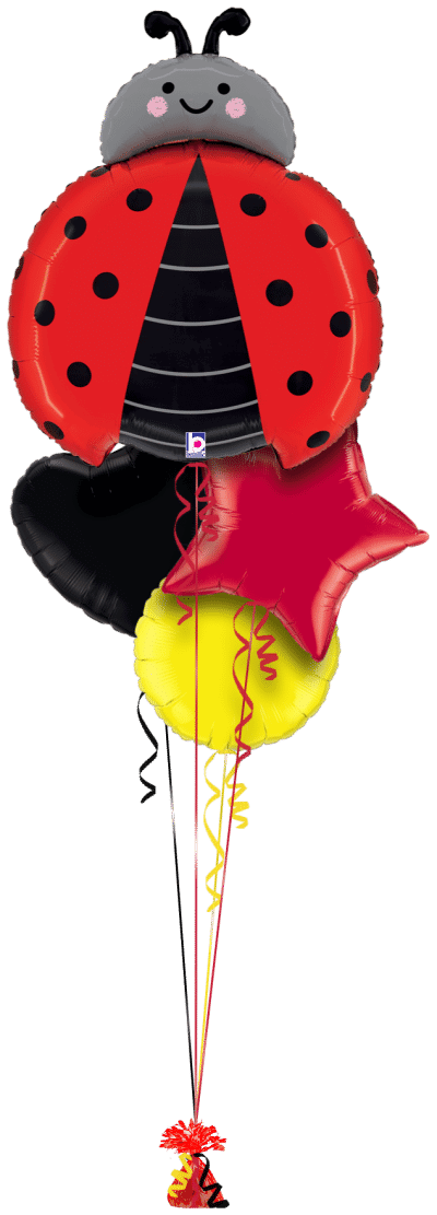 Ladybird Balloon Bunch