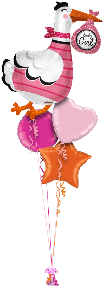 Baby Girl Stork Shape Balloon Bunch