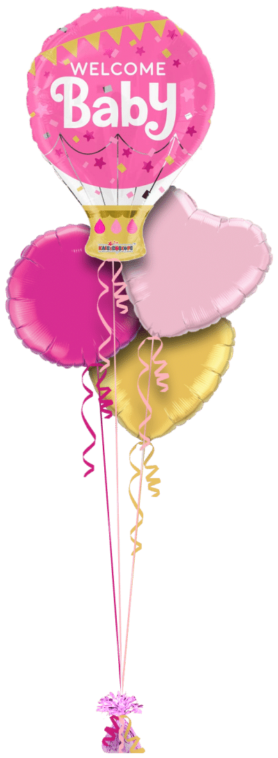 Welcome Baby Girl Hot Air Balloon Balloon Bunch